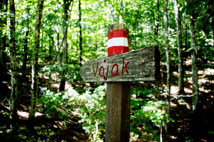 Wooden sign with 'Vojak' in forest, topped with red and white stripes.