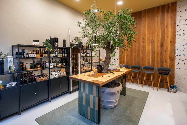 Store interior with shelves of bottles, a wooden table with tree, and stools against wooden wall.